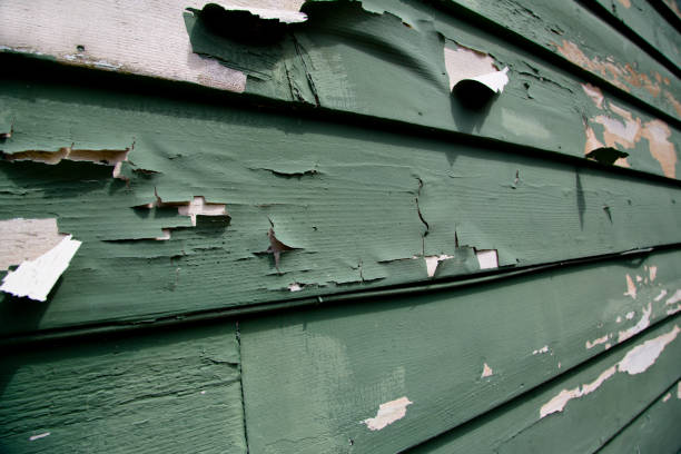 Best Construction Debris Removal  in Summitville, IN